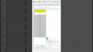 Automatic Serial Numbers in Excel Shortcuts | Trick for Serial Numbers #excel #exceltricks