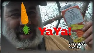 Wisconsin Garden March 31 (Early spring gardening!)
