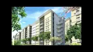 SMDC Trees Residences AVP