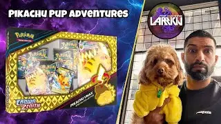 How To Open A Pikachu VMAX Collection Box with My Dog
