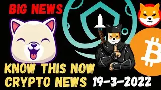 Lovely Inu News Today | Kishu inu shibnobi shinja floki inu safemoon crypto market updates news