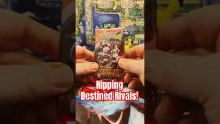 Ультраредкий предмет, выпадающий из Destiny Rivals.
