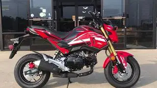 2018 Honda Grom - Custom FX factory effex graphix