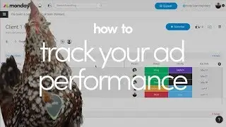 How to create better performing videos with monday.com