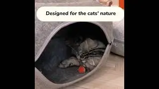 Pet Cat Tunnel Play Interactive Toy Bed Donut Cat Bed with Zipper Round Cat House Indoor Pets Cave