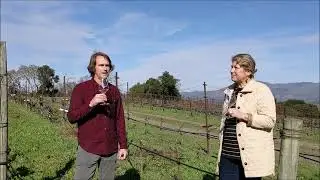 Laurel Glen Vineyard Ros&eacute; 2020 Spring Release Sonoma Mountain Wine