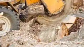 Tree Surgeons - Elite Tree Services