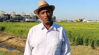 Concern over water in rice fields for wildlife