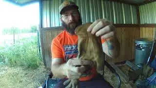 Ridgecut leather work gloves