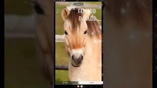 ik heb jier 1 uur aan gewerk pls like en subscribe doei!💖😝