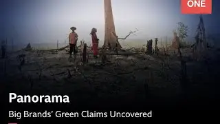 BBC Panorama: Big Brands&rsquo; Green Claims Uncovered