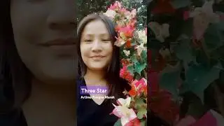 Three Star ni nitoa 🥰 || Bougainvillea Three Star #shortvideo #flowers