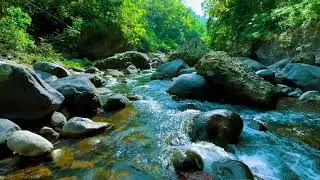 Deep Relaxation River Sounds – 10 Hours for Anxiety & Stress Recovery Stress & Tension Release