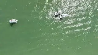 2024 Azalea Bowl Regatta DJI 20240414130039 0032 D