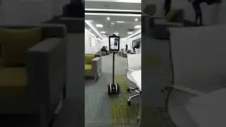Robot video conference system