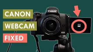 Утилита Canon Webcam Utility не работает? РЕШЕНО в OBS и Zoom (2021)