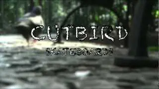 CUTBIRD   Bird Feed   Episode 1