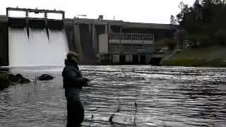 Salmon Fishing Ireland 2014. ( HD )