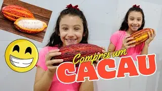 CACAU! Comendo cacau pela primeira vez! 😁😋
