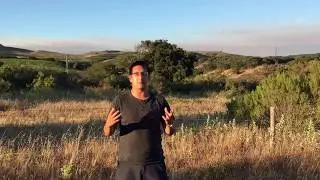 Sta. Rita Hills in Santa Barbara Wine Country