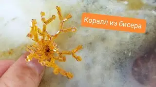 Коралл из бисера.