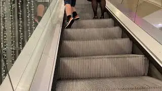 OTIS Escalators at John Lewis in Broad Street in Reading (With Morgan)