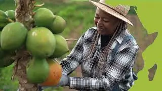 2024 ReSAKSS Annual Trends & Outlook Report Video