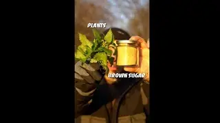 FPJ - Fermented Plant Juice! #short #shorts