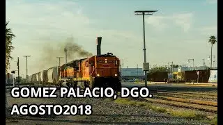 LFCD: 3961 – 7896 EN ESTACION GOMEZ PALACIO, DGO.
