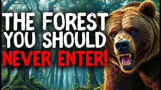 I'm a Park Ranger.  STOPPED Visiting THAT FOREST After I Discovered This!