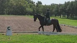 Isabel G training test 3 final