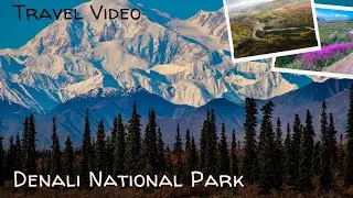 Ultimate Denali National Park Guide: Wildlife, Adventure, and Eco-Travel Tips!