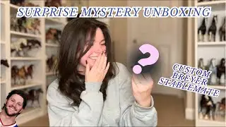 Surprise Custom Breyer Stablemate Unboxing! 🫢