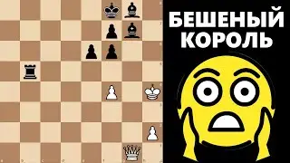 Бешеный король! #шахматы #chess #этюды #chesspuzzle #study #endgame