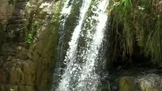 eingedi.mp4