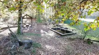 Am Paddelweiher bei Hauenstein-Oktober-2024