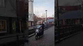 Netherlands 🇳🇱 Nederland #shorts #short #dutch #viral #Netherlands
