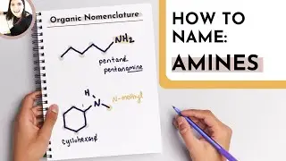 How to Name Amines with IUPAC Nomenclature Rules | Full Tutorial