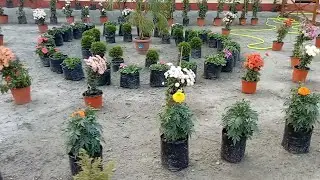 Wow beautiful garden ||👌👌