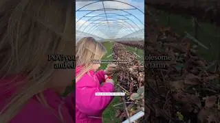 Junior farmers at Kenyon hall farm learning how to grow organic strawberries #schoolfarming #outdoor
