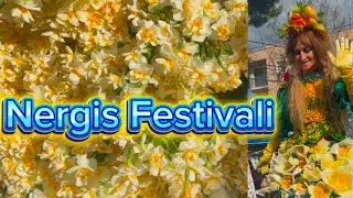 7. Karaburun Nergis Festivaline Hoş Geldiniz #karaburun #nergis #festival #çiçek #keşfet