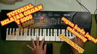 TUTORIAL ORJEN KUDA JOGED/cekeneng lagu TEPUNG KANJI