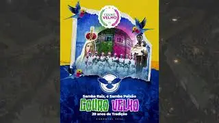 Presidente Vargas  - Samba 2024