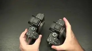 Sony A7iii vs A7Riii