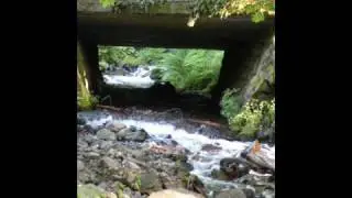 Oregon's Historical Highway 2