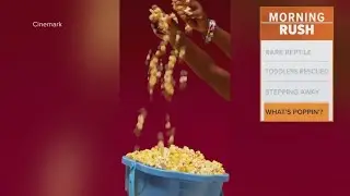 Cinemark brings back popular bring your own bucket promotion