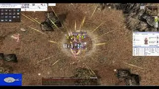 Testing out Combo Monk Buff on iRo:Trans test server