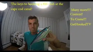Cape Cod Canal Tips and tricks!