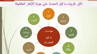 مقرر الجوده والمواصفات التصديرية للمحاصيل البستانية المحاضرة الثالثة