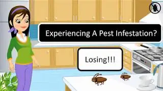 Pest Control  2D Animated 7